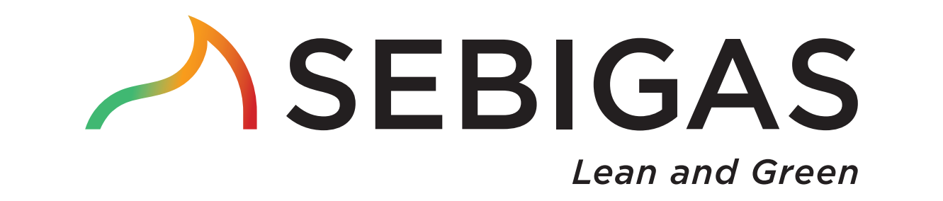 Sebigas Renewable Energy Srl